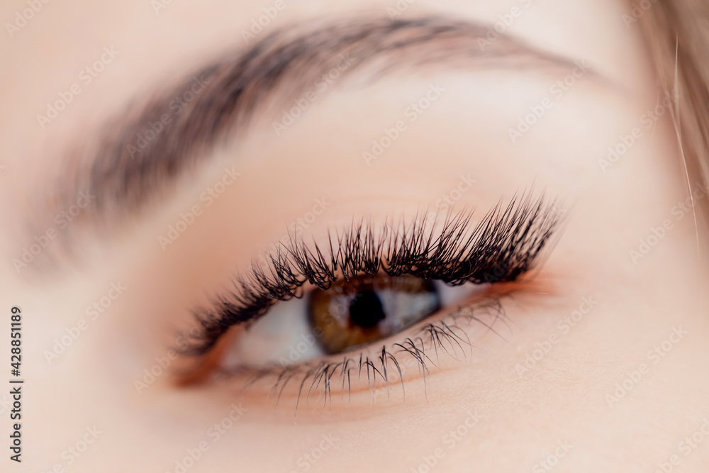 Fashion Portrait arabic young woman with long lash after Eyelash extension procedure in beauty salon Fashion Portrait arabic young woman with long lash after Eyelash extension procedure in beauty salon