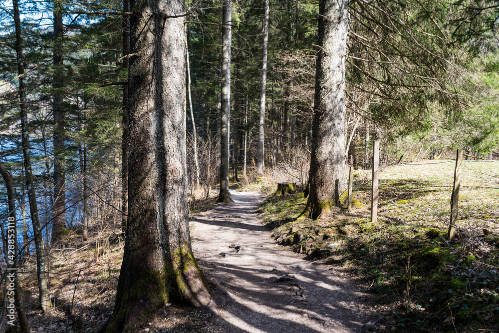 Obraz premium Lunz am See