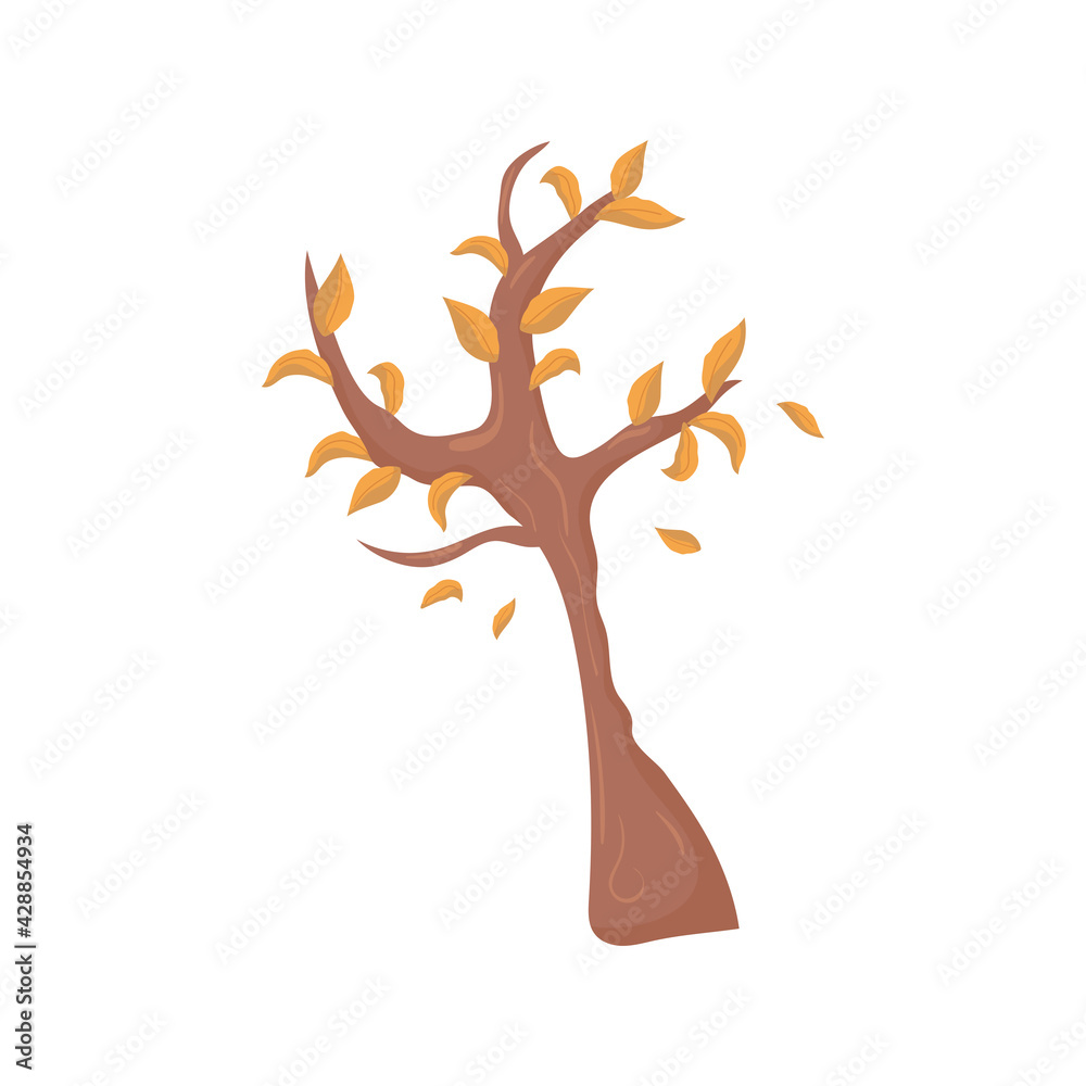 dry branch leaves dry branch leaves