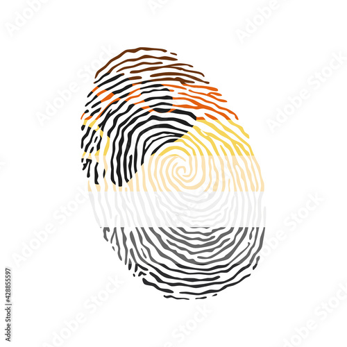 Fingerprint vector colored with the Bear Brotherhood pride flag isolated on white background Vector Illustration