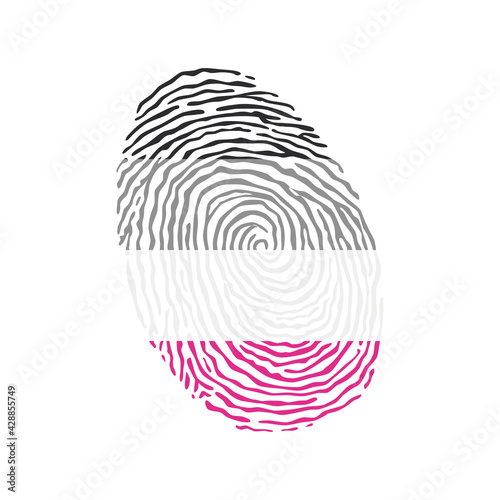 Fingerprint vector colored with the Gynephilia pride flag isolated on white background Vector Illustration