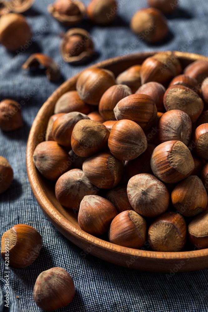 Fototapeta premium Raw Organic Unshelled Hazelnuts