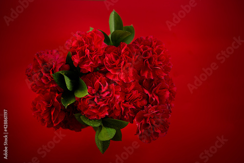 Red Carnations on a red backdrop  photo