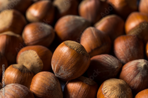 Raw Organic Unshelled Hazelnuts