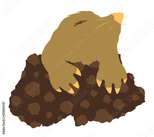 Mole peeps out of the hole cute flat animal vector isolated colorful illustration