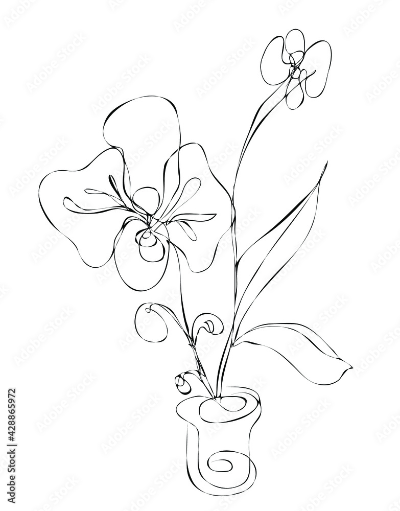 Orchids. Drawings flowers with linear art on a white background and  watercolor design elements. Vector hand illustration. One line