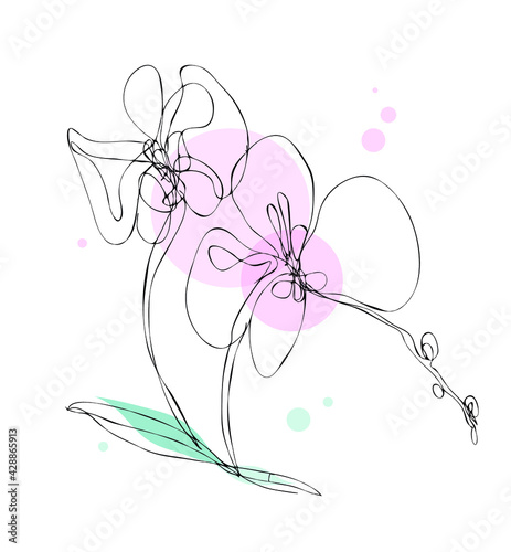 Orchids. Drawings flowers with linear art on a white background and watercolor design elements. Vector hand illustration. One line