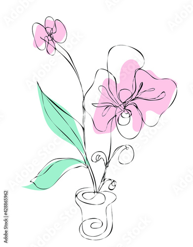 Orchids. Drawings flowers with linear art on a white background and  watercolor design elements. Vector hand illustration. One line