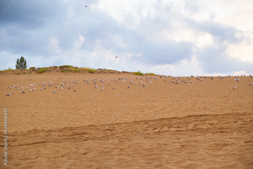 Beautiful sea and sandy beaches of Bulgaria, Nessebar