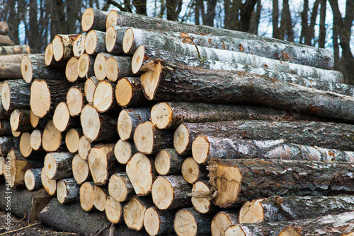 Stacked wood pine timber for construction buildings Background