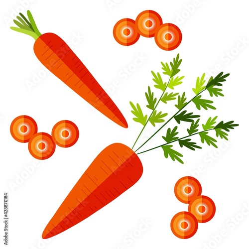 Flat style of carrots set for banners, flyers. Whole carrot. Slice carrot. Carrot with tops. Fresh organic and healthy, diet and vegetarian vegetables. Vector illustration isolated on white background