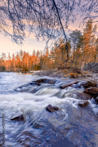 Fototapeta Naklejka Na Ścianę i Meble -  A forest stream in a Scandinavian forest, long exposure