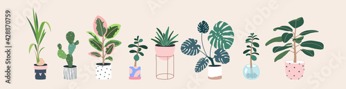 Home plants in flowerpot. Houseplants isolated. Trendy hugge style, urban jungle decor. Hand drawn. Set collection. Green, blue, pink, brown, beige pastel colors. Print, poster, banner. Logo, label.