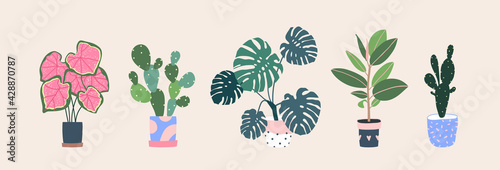 Home plants in flowerpot. Houseplants isolated. Trendy hugge style, urban jungle decor. Hand drawn. Set collection. Green, blue, pink, brown, beige pastel colors. Print, poster, banner. Logo, label.