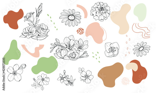 Vector illustration of colors and abstract elements. Set with botanical illustrations