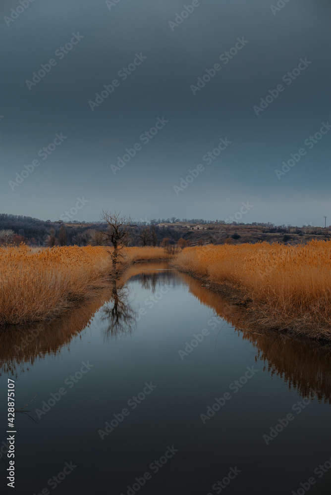 View of a river with reflections of reeds around the edges and a tree without leaves and farms on the horizon
