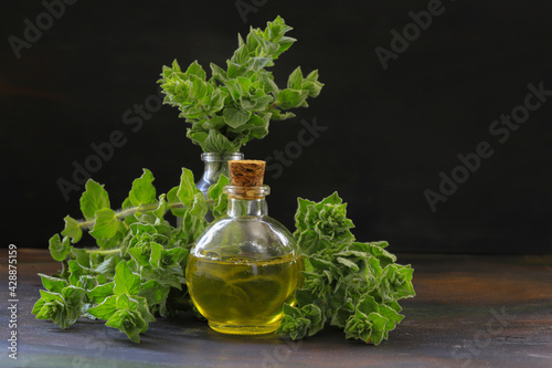 A bottle of thyme essential oil with fresh thyme leaves