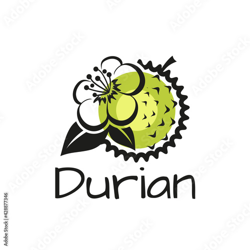 Durian, fruit and flower. A graphic composition, suitable for a logo. Vector, isolated, on a white background.