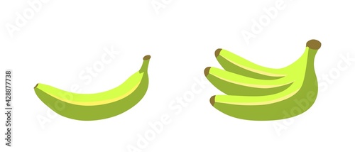 Unripe green banana Vector fruits Illustration concept isolated