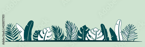 Jungle plant vector border illustration with tropical tree leaves banana, monstera, palm