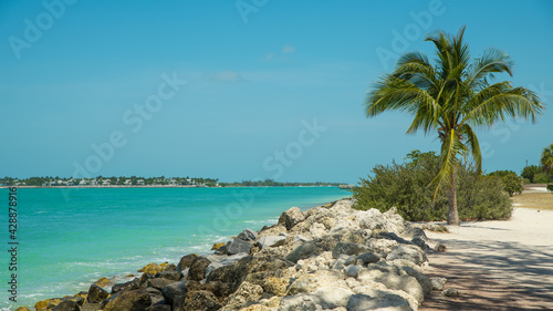 Fototapeta Naklejka Na Ścianę i Meble -  Atlantic ocean and Gulf of Mexico. Spring break or Summer vacations in Key West Florida. Tropical nature. Fort Zachary Taylor Historic State Park. Beach with Palm tree and Turquoise ocean water. 