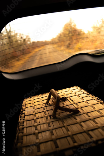 Travel in car with food