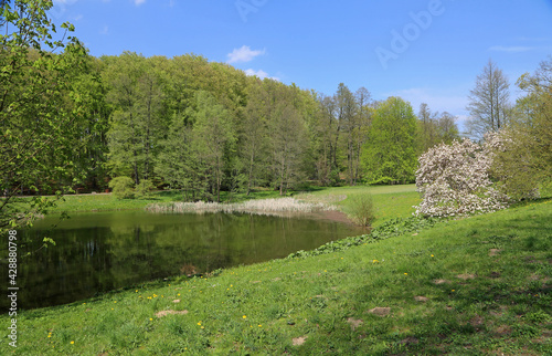 Spring on the lake - Myslecinek near Bydgoszcz, Poland photo