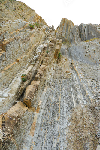 Layers of flysch, flysch cliffs, Basque coast UNESCO Global Geopark, European Geopark Network, Zumaia, Guipzcoa, Basque Country, Spain, Europe  photo