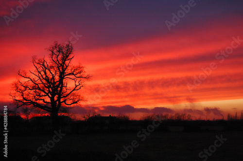 Sunset across fields with silhouetted tree zoomed