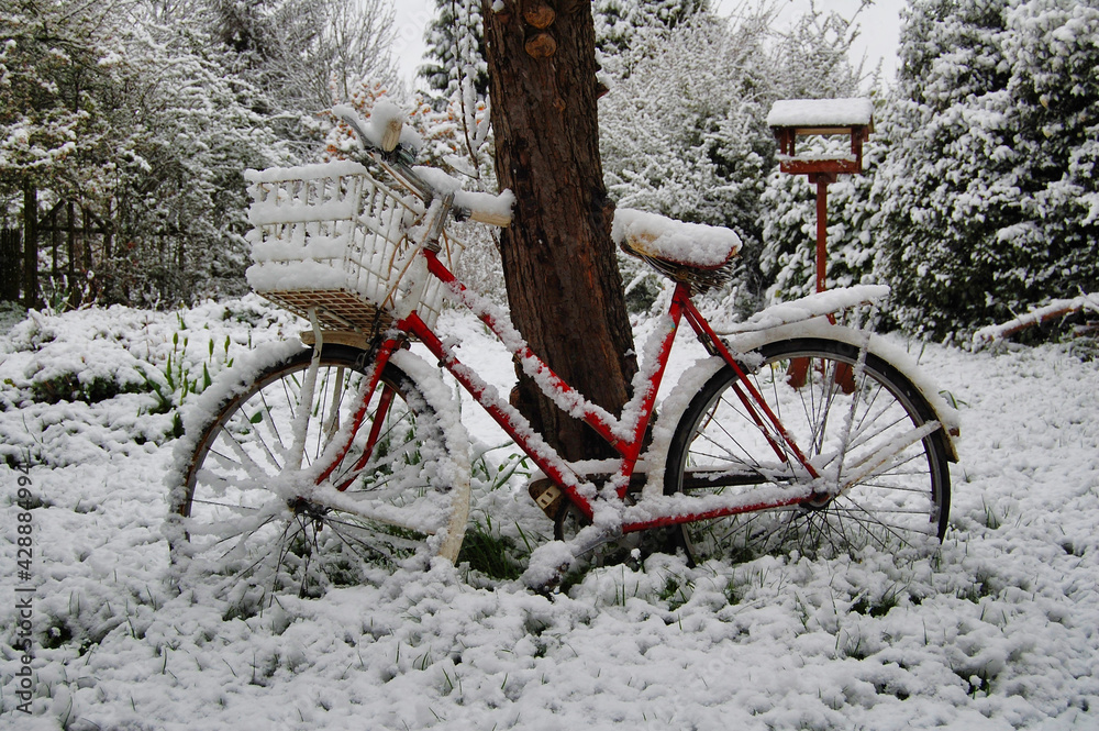 Snow covered bicycle leaning against a tree