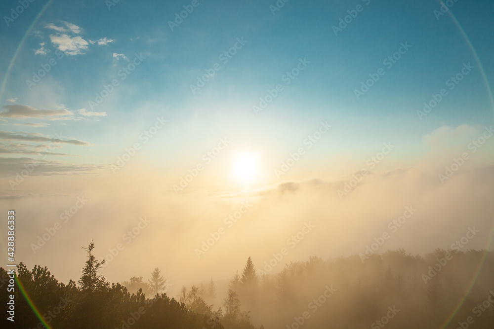 Naklejka premium sunrise over the field
