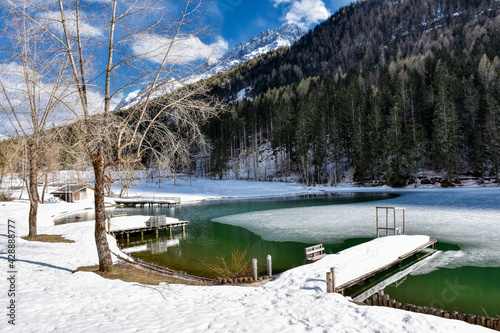 See, Tristacher See, Winter, Frühjahr, Schneeschmelze, Vereist, Eisdecke, schmelzen, Frühling, Schnee, Baum, umgeknickt, Schneelast, Winterschaden, Schaden, Schneedruck, Baumstamm, umgestürzt, entwurz photo