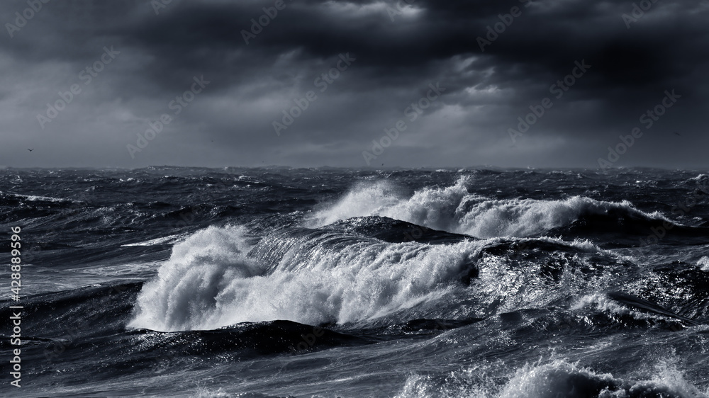 Dramatic rough sea