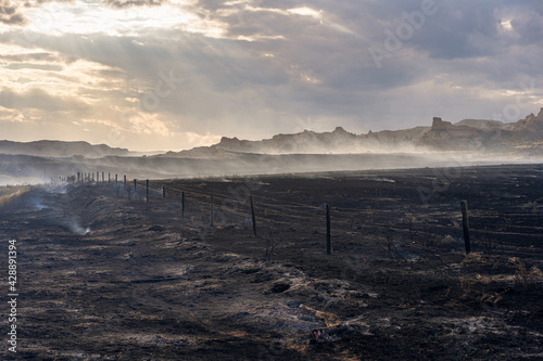 burnt land desolate fire black charred landscape god rays