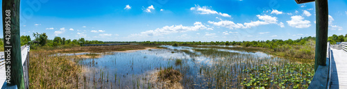 Фотография Panorama of wetlands area and boardwalk at Chapel Trail Nature Preserve - Pembro