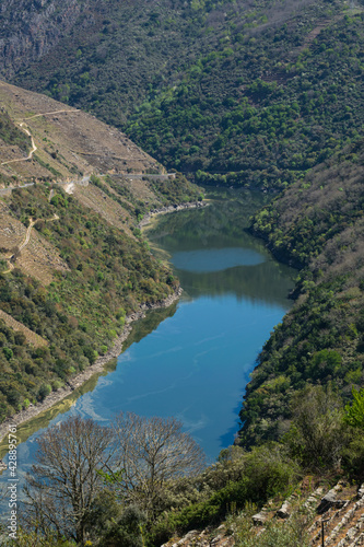 Beautiful scenery of the vineyards in the Ribeira Sacra along the Sil River (Lugo, Galicia, Spain)