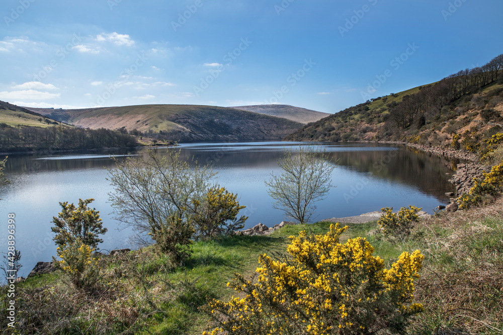 View from  Meldon reservoir dam