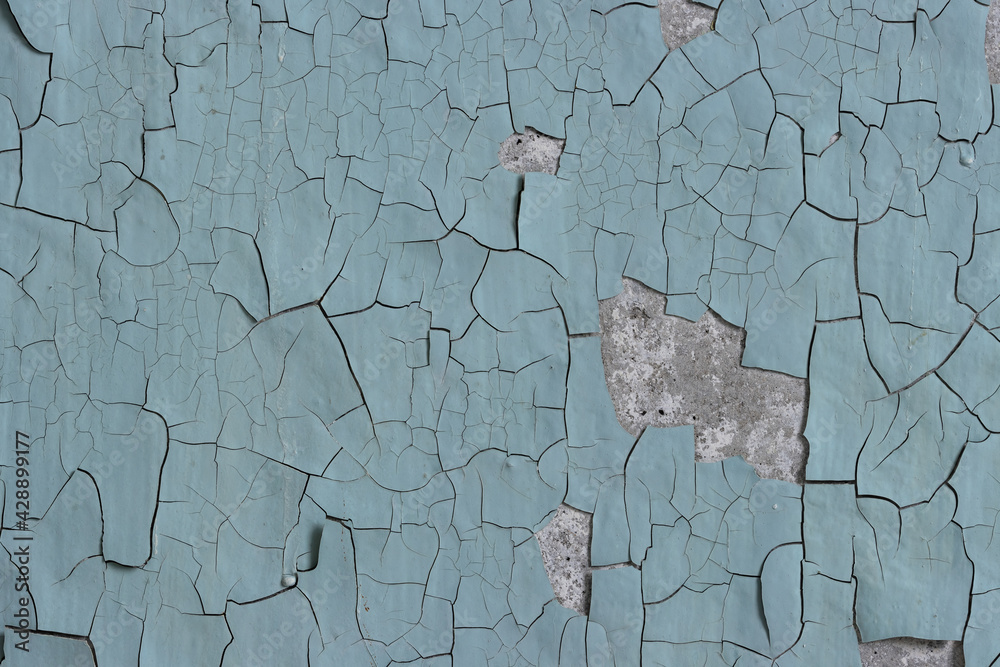 Fototapeta premium Peeling paint on the wall. Old concrete wall with cracked flaking paint. Weathered rough painted surface with patterns of cracks and peeling. High resolution texture for background and design. Closeup