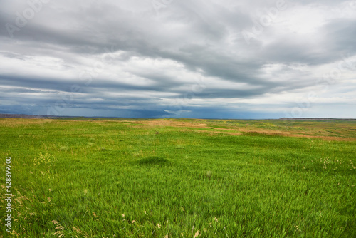 View over mixed grass prairie in Badlands National Park