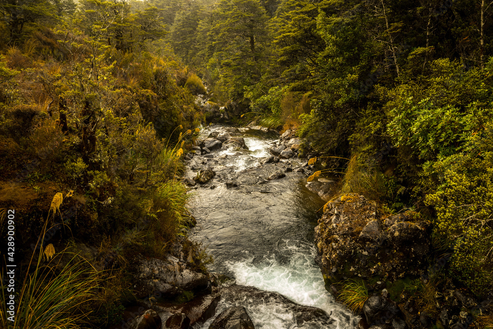 Mountain river in Tongariro National Park, New Zealand. Mountain river in Tongariro National Park, New Zealand.