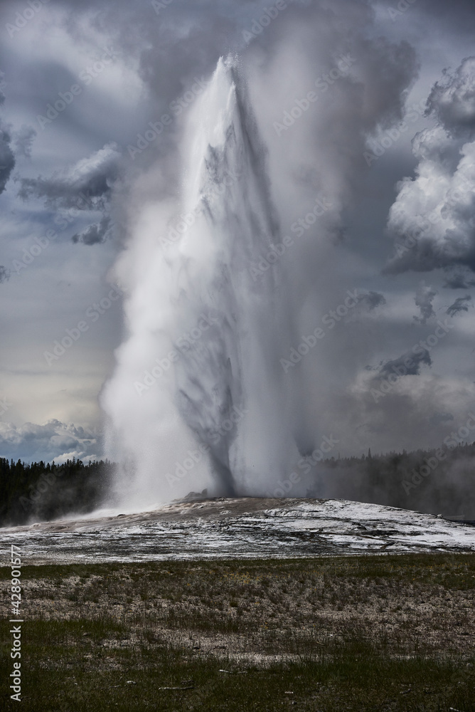 Old Faithful geyser erupting in Yellowstone Park