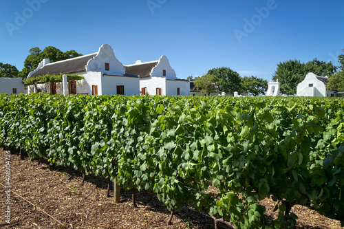 Obraz na płótnie Historical building in cape dutch architecture style with vineyard in the foreground at Babylonstoren farm near Paarl, South Africa w salonie