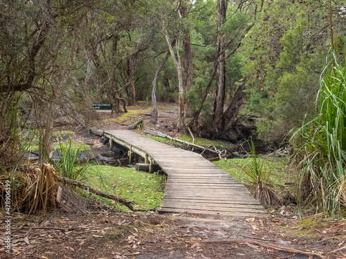 Footbridge at the Refuge Cove campground - Wilsons Promontory, Victoria, Australia photo