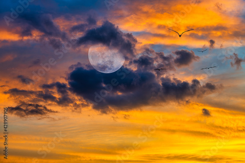 Moon Birds Fantasy Clouds