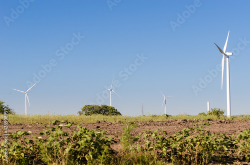 Group of modern windmills in the countryside near Tarariras, Colonia. photo