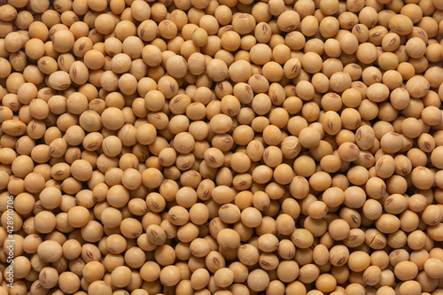 close up soybeans, dried soy beans 
