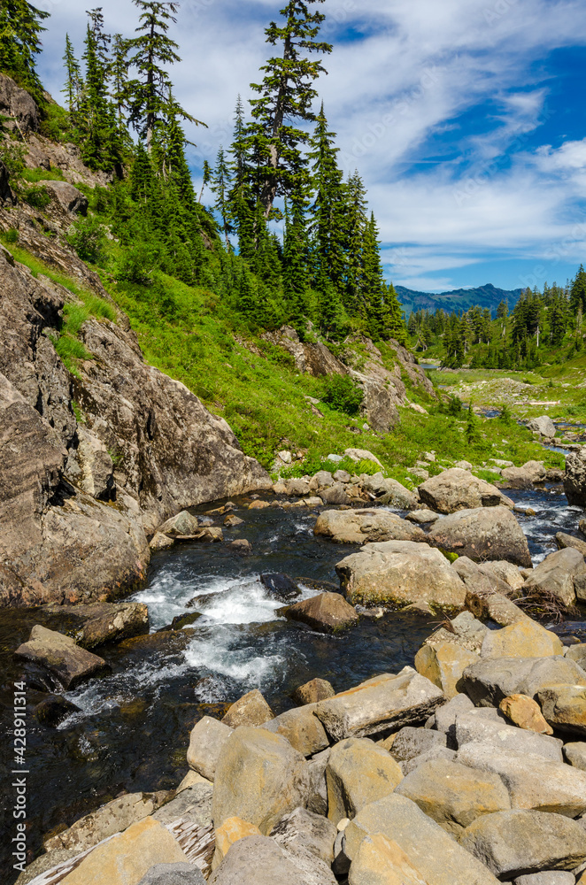 Beautiful Mountain River at the Bagley Lake Trail Park. Mount Baker, Washington, USA.