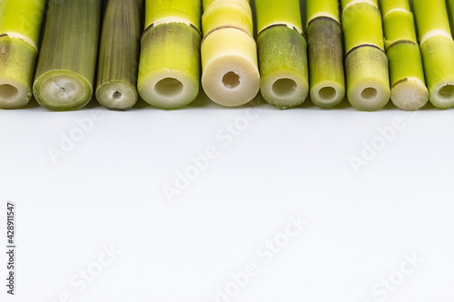 fresh little bamboo shoots isolated