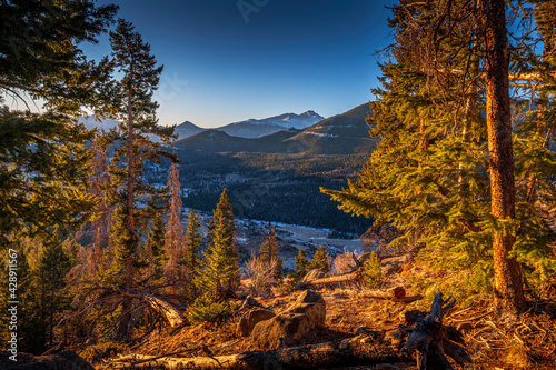 Mountains Behind Trees near Estes Cone trail in Rocky Mountain National Park, Colorado, USA