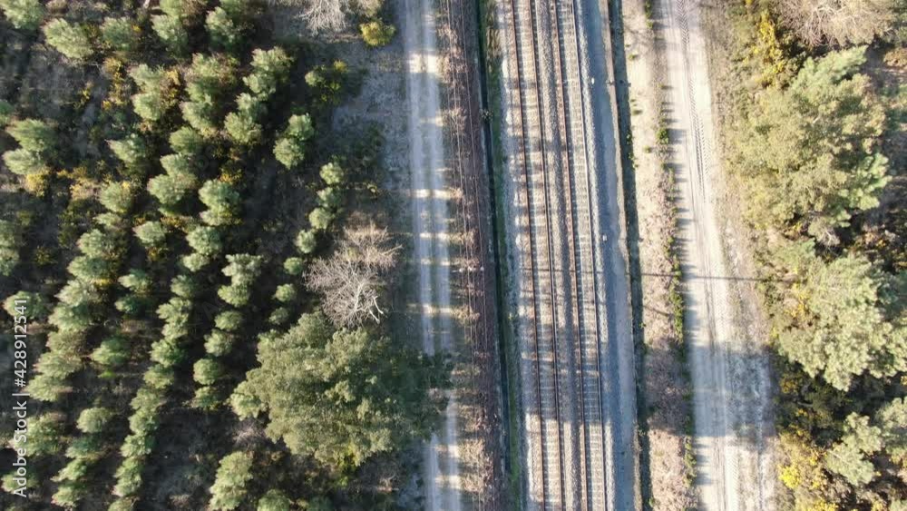 Arjuzanx, Les Landes, Nouvelle Aquitaine, France, Europe